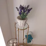 Panda Apartman *