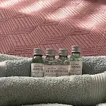 Panda Apartman *
